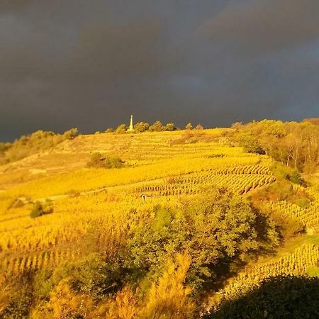 فندق Wine Passion Panoramic Chavanay المظهر الخارجي الصورة