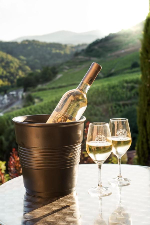 فندق Wine Passion Panoramic Chavanay المظهر الخارجي الصورة