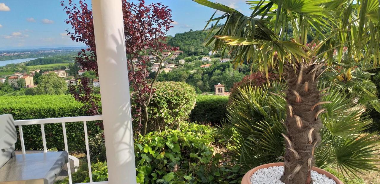 فندق Wine Passion Panoramic Chavanay المظهر الخارجي الصورة