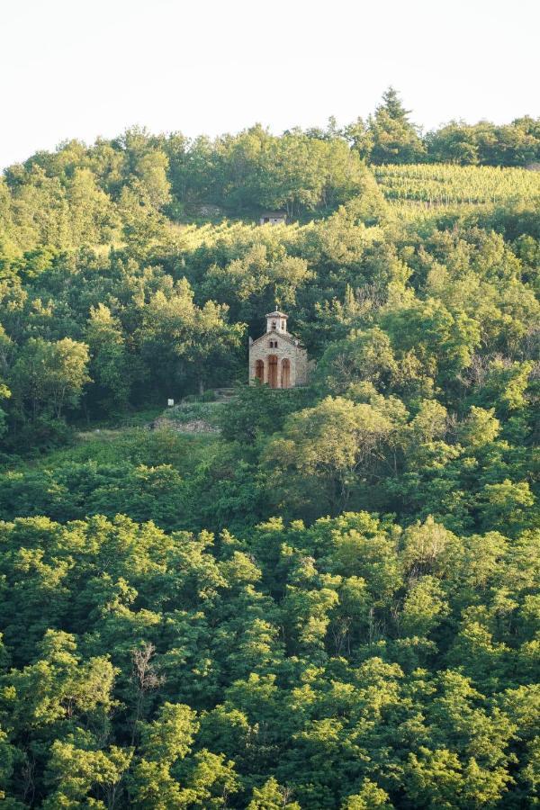 فندق Wine Passion Panoramic Chavanay المظهر الخارجي الصورة