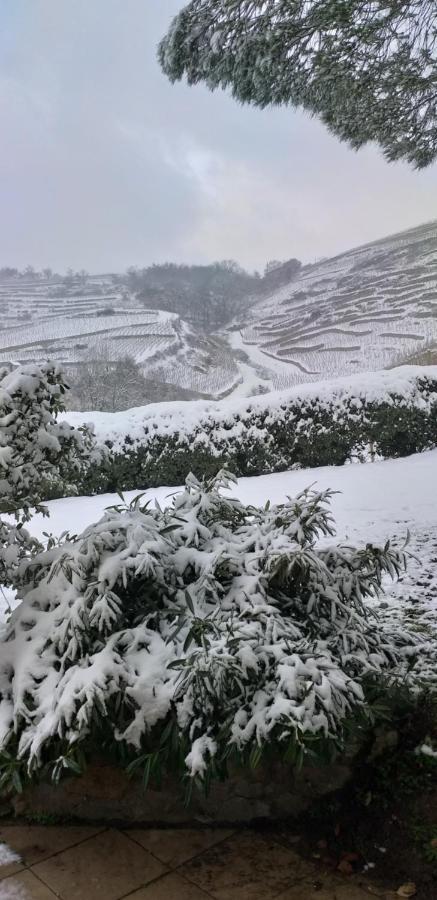 فندق Wine Passion Panoramic Chavanay المظهر الخارجي الصورة