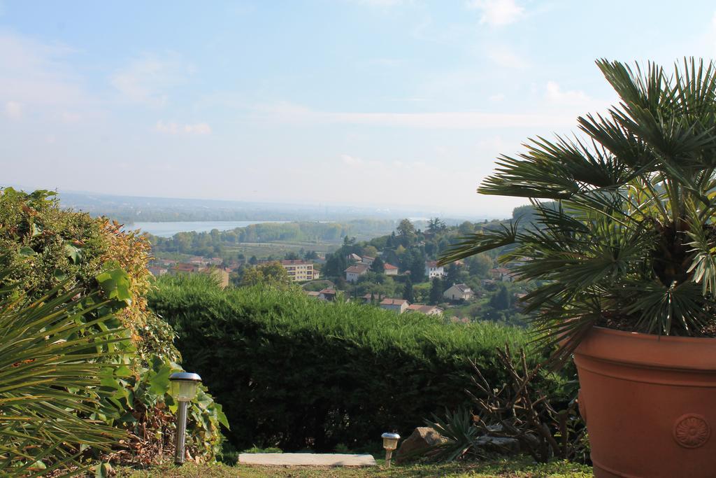 فندق Wine Passion Panoramic Chavanay المظهر الخارجي الصورة