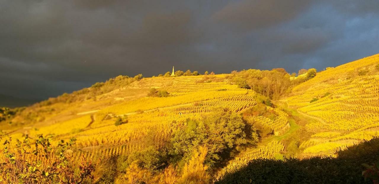 فندق Wine Passion Panoramic Chavanay المظهر الخارجي الصورة