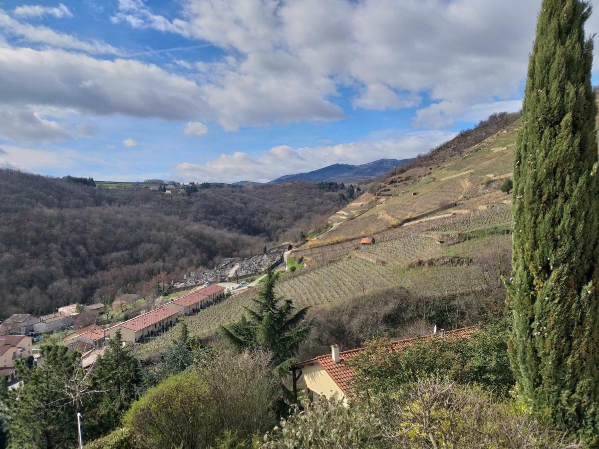 فندق Wine Passion Panoramic Chavanay المظهر الخارجي الصورة